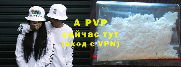 apvp Алексин