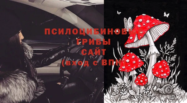 jwh Алзамай