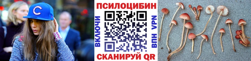 Галлюциногенные грибы Cubensis закладки Узловая