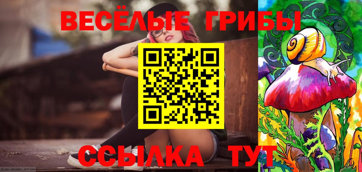 Псилоцибиновые грибы Psilocybe  даркнет сайт  Узловая  Вход с VPN  Галлюциногенные грибы Magic Shrooms 